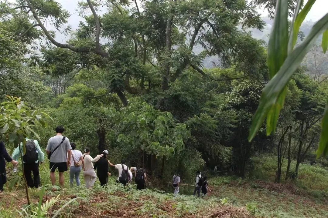 澳门赌场在线门户主页